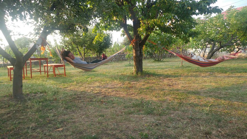 Green Garden Guesthouse Shkodër Eksteriør bilde